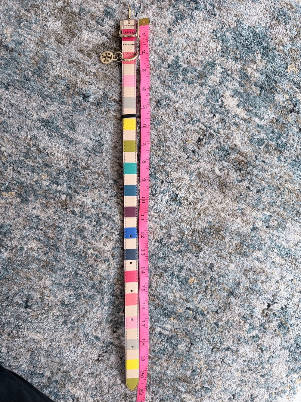 Tory Burch dog collar, multicolor - Picture 3 of 5